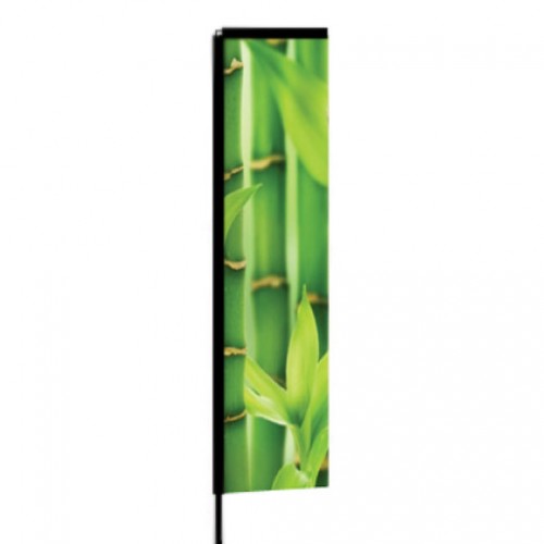 H FLAGPicture1