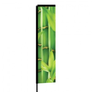 H FLAGPicture1