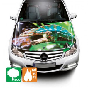 3M SV480 MC | FILM SANS PVC IMPRIMABLE ECO-SOLVANT
