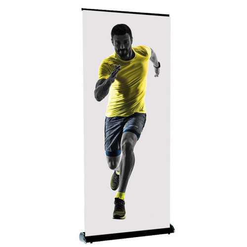 ROLL-UP GOLD | HOCHWERTIGES...
