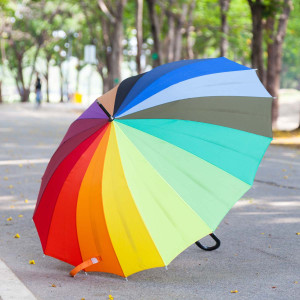 ASLAN SL 17/SL 18 |...